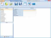 DynamicSkinForm
