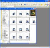Graphic Workshop