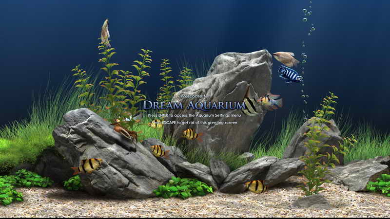 aquarium(梦幻水族馆)|dream