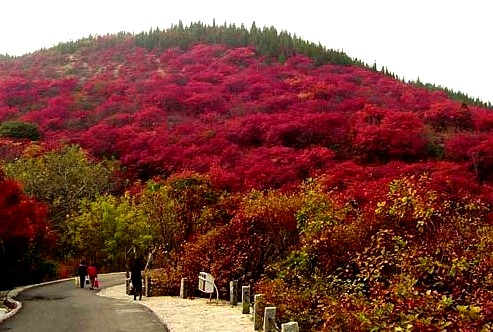 红叶风景区