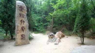 阳谷景阳冈阳谷景阳冈门票