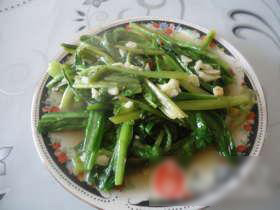 蒜烧油麦菜的家常做法 p_20120220143539260866827.jpg