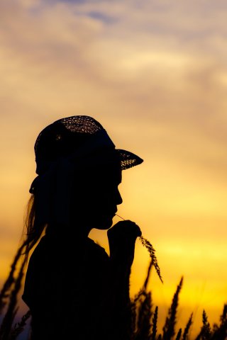 夕阳下侧影手机壁纸下载,手机高清壁纸下载-2345壁纸